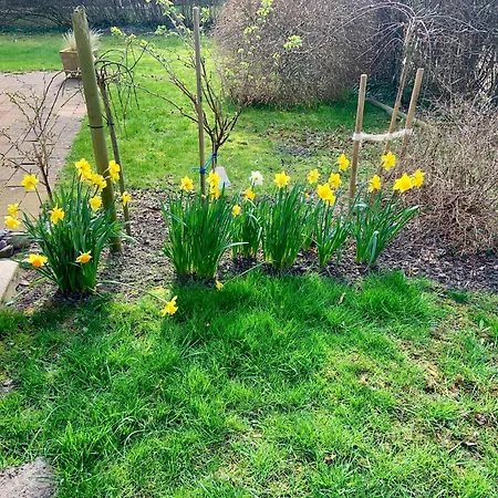 Utkiek 2 Lägenhet Zingst