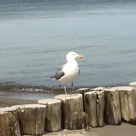 Utkiek 2 Lägenhet Zingst