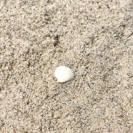 Utkiek 2 Zingst