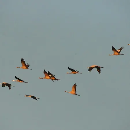 Lägenhet Utkiek 2 *